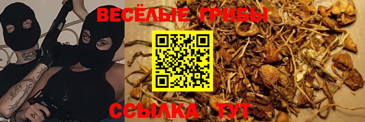 Темрюк  Псилоцибиновые грибы Magic Shrooms  Вход с VPN 